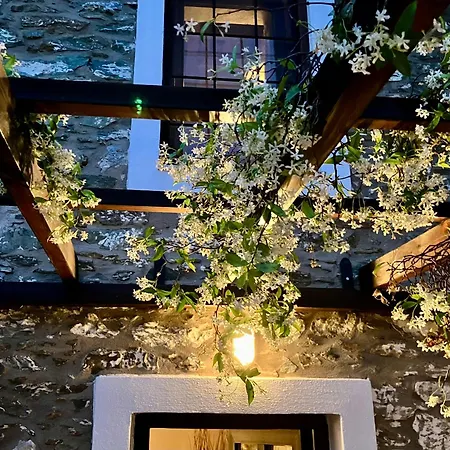 Melivista * Melivoia