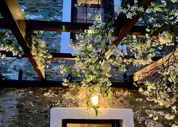 Melivista * Melivoia