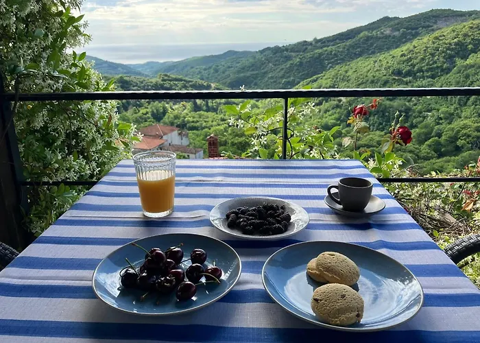 Melivista Holiday home